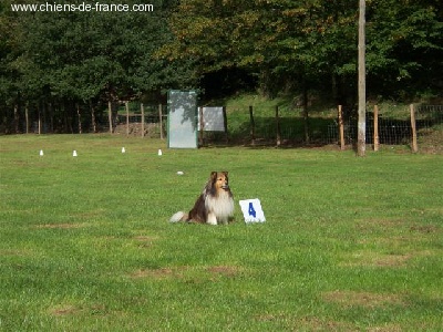 des Bordes Rouges - Concours d'obeissance du 07 octobre 2006