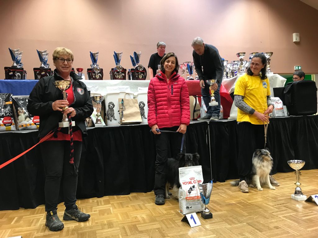 des Bordes Rouges - Agility Ike et Fanny