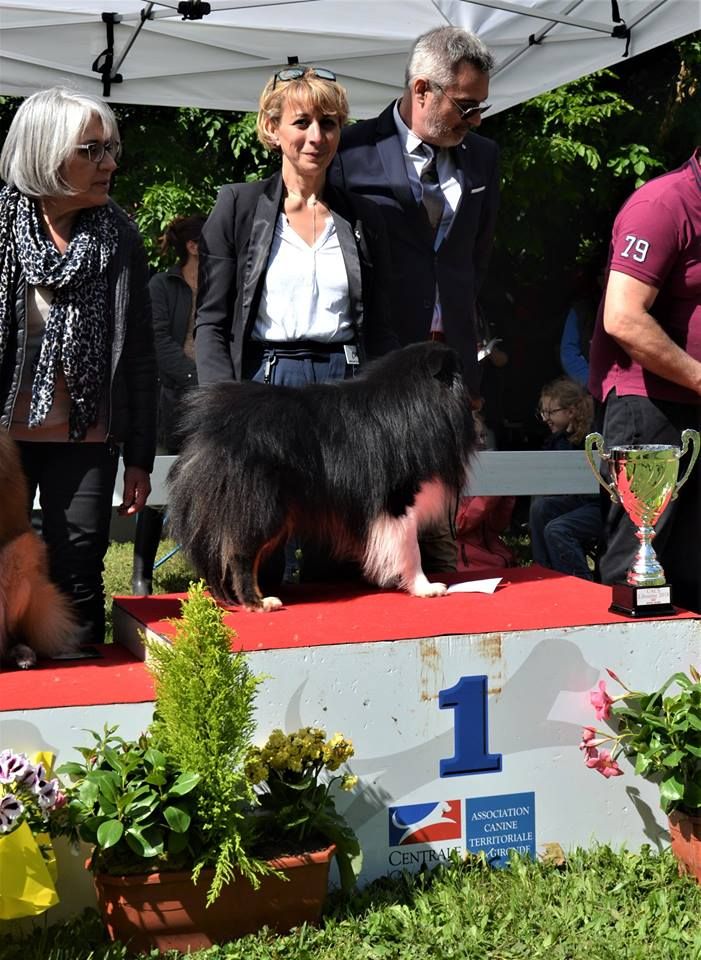 des Bordes Rouges - Exposition de Libourne