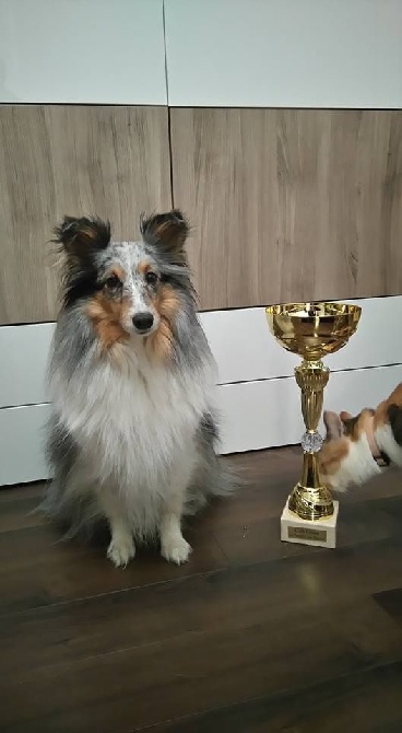 des Bordes Rouges - Agility-Laura et Lady