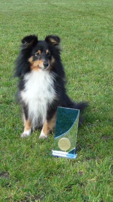 des Bordes Rouges - Agility-Gaïa et Sandrine