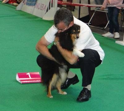 des Bordes Rouges - Championnat de France 2014-Angers