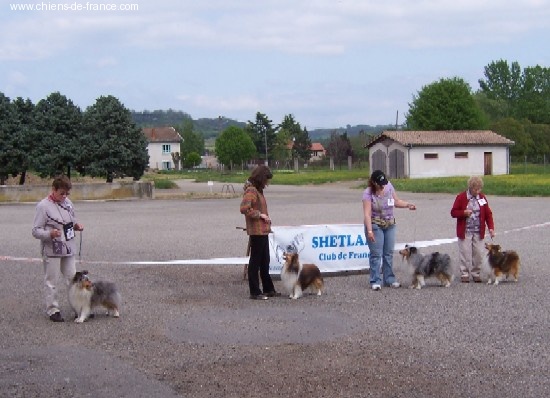 des Bordes Rouges - Agen: régionale d'élevage et spéciale de race