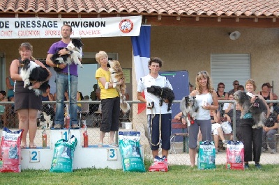 des Bordes Rouges - Agility-Capcir