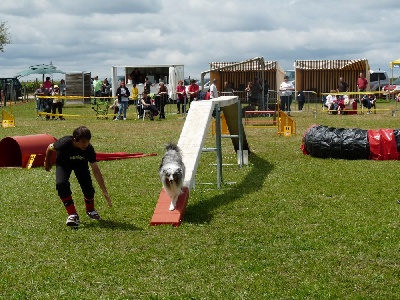 des Bordes Rouges - Agility-Gadget