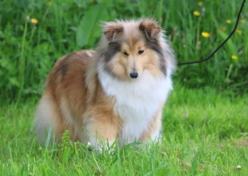 Texane blonde Des Amours Du Sud