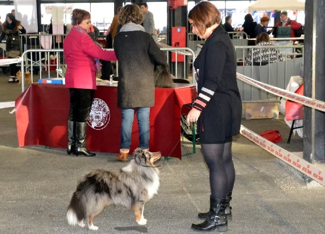 des Bordes Rouges - Exposition de Bordeaux