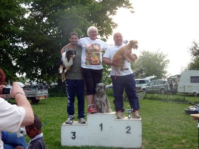 des Bordes Rouges - Agility-Dexter
