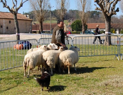 des Bordes Rouges - CANT-CSAU