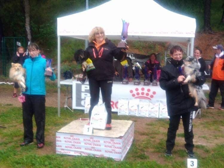 des Bordes Rouges - Agility Looys et Eddie