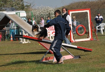 des Bordes Rouges - Agility
