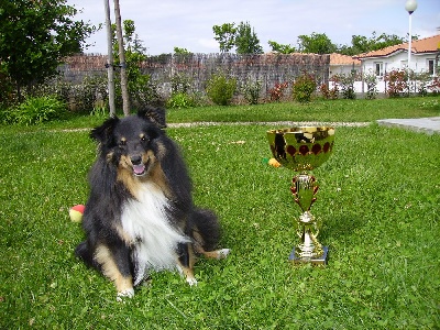 des Bordes Rouges - Agility
