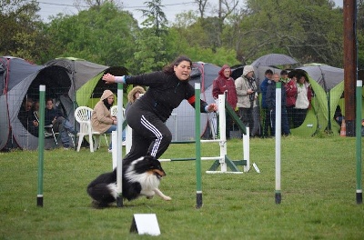 des Bordes Rouges - Agility-Dawa